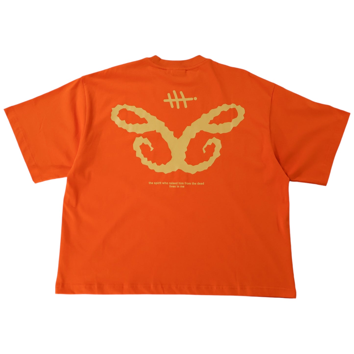 Romans 8:11 t-shirt
